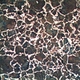 Trinocular Metallurgical Microscope